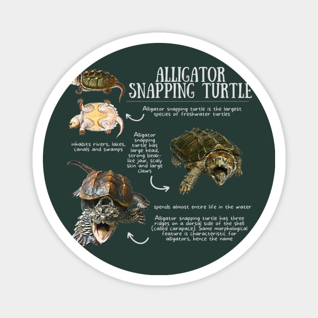 Animal Facts - Alligator Snapping Turtle Magnet by Animal Facts and Trivias